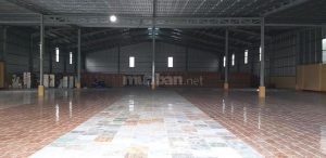 Cho thuê mặt bằng kinh doanh 1900m2 thị xã Cai Lậy