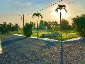 Bán gấp nền đất KCN Tân Hương, sổ hồng riêng giá rẻ đầu tư