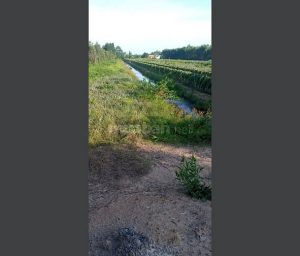 Cần bán 8 công đất giá tốt tại Hưng Thạnh, Tân Phước, Tiền Giang