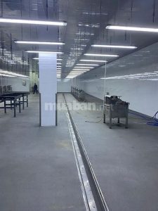 Cần Bán Gấp Nhà Máy Đông Lạnh Tại KCN Long Giang DT 2ha- Mới Xây N2018