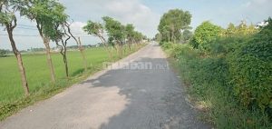 1032.6m2 Đất nền ngay Cống Rạch Bùng – Biển Tân Điền