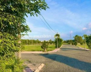 Đất nền khu công nghiệp Tân Hương