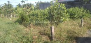 Đất full thổ, lộ Vàm, Song Bình,Chợ Gạo, TG. 95m2. Giá 450tr
