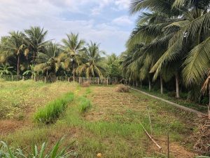 Bán đất 200m2 đường oto phước thạnh tp mỹ tho chỉ 680 triệu