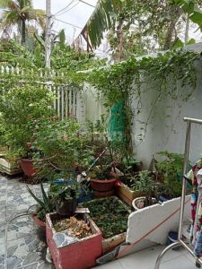 Cần bán gấp nhà Đường Lê văn phẩm P.6 Tp Mỹ Tho, TG