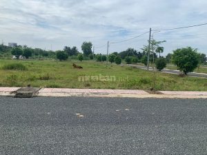 Chỉ 160 Sở Hữu Đât Nền Liền Kề Khu Công Nghiệp Tân Hương, Tiền Giang