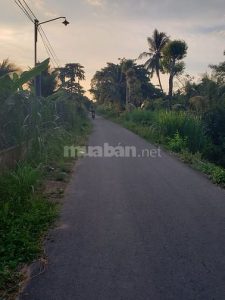 Chỉ 1tr450k/m2 đất mặt nhựa 5m đang làm Thanh Bình giáp Mỹ Phong