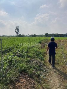 Bán đất Xã Tân Tây, Huyện Gò Công Đông, diện tích 826m2